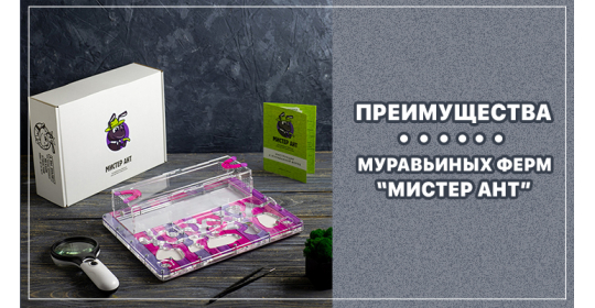 Почему мы: преимущества муравьиных ферм и комплектов "Мистер Ант"