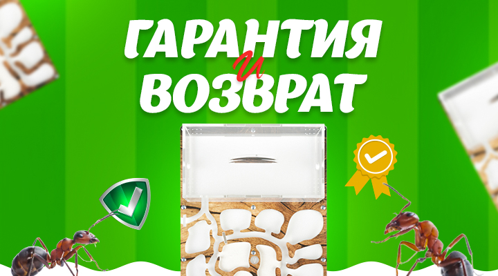 Условия гарантии и возврата в интернет-магазине "Мистер Ант"